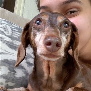 Meet your Posher, Anna